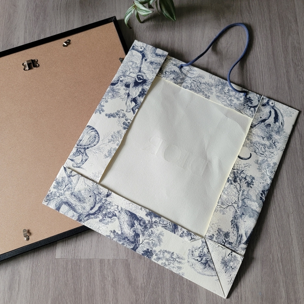 SALE🎉 Framed - Limited Edition Authentic Dior Shopping Bag - Framed - Picture 9 of 10